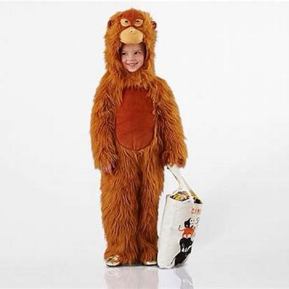 Pottery Barn Kids Brown Monkey Costume - Picture 2 of 6